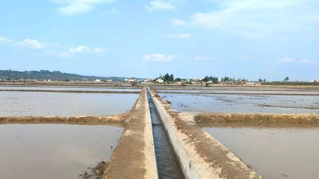 天府粮仓安宁示范区高标准农田备耕忙