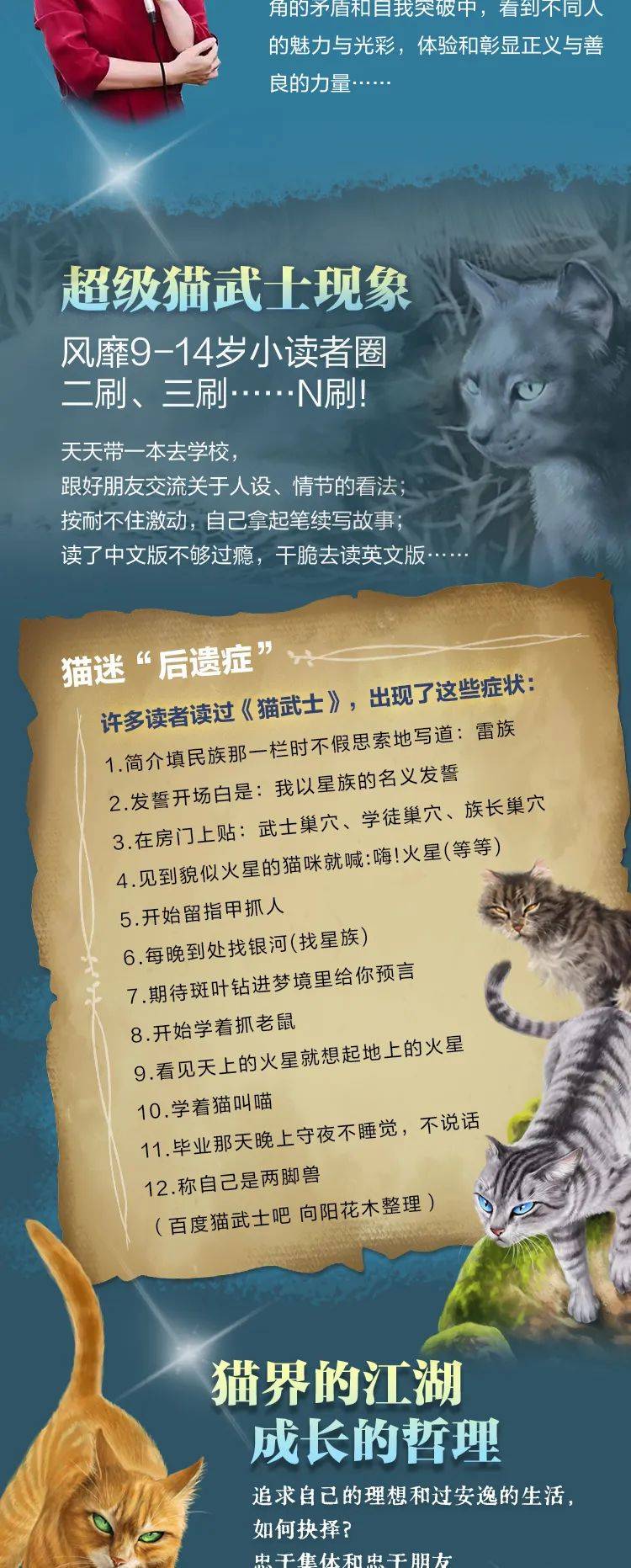 猫武士小耳图片