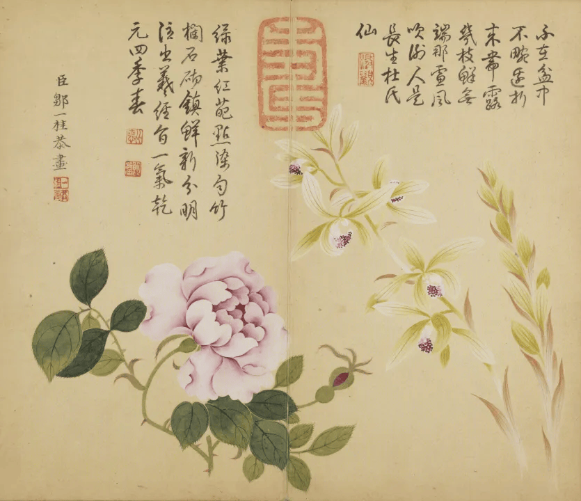 国画天地邹一桂花鸟草虫图册