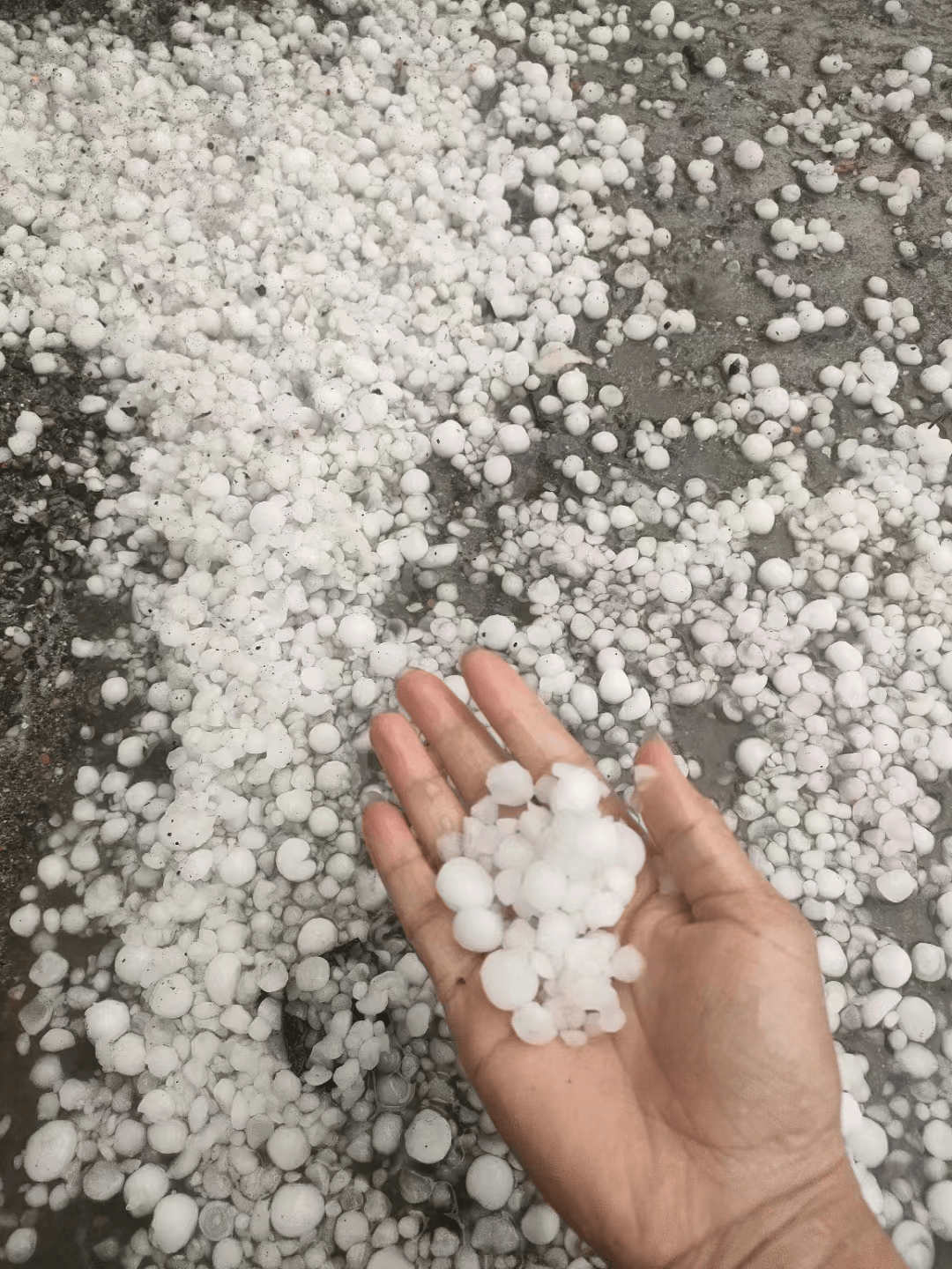 十堰郧西湖北口,关防下起冰雹和大雨今天上午强对流天气多发雷达回波