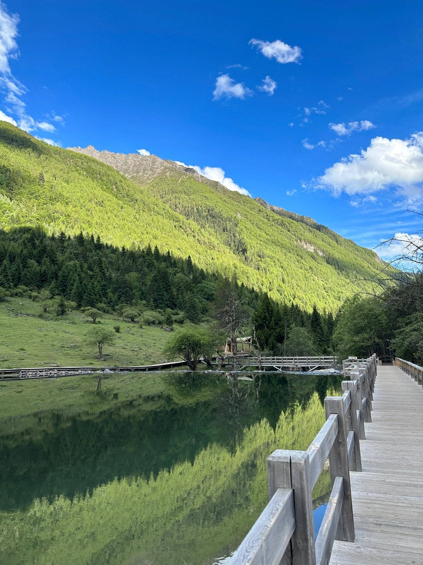 四川冬季自驾旅游 ,10级懒人必备的旅游攻略大全_冬日_峨眉山_冰雪