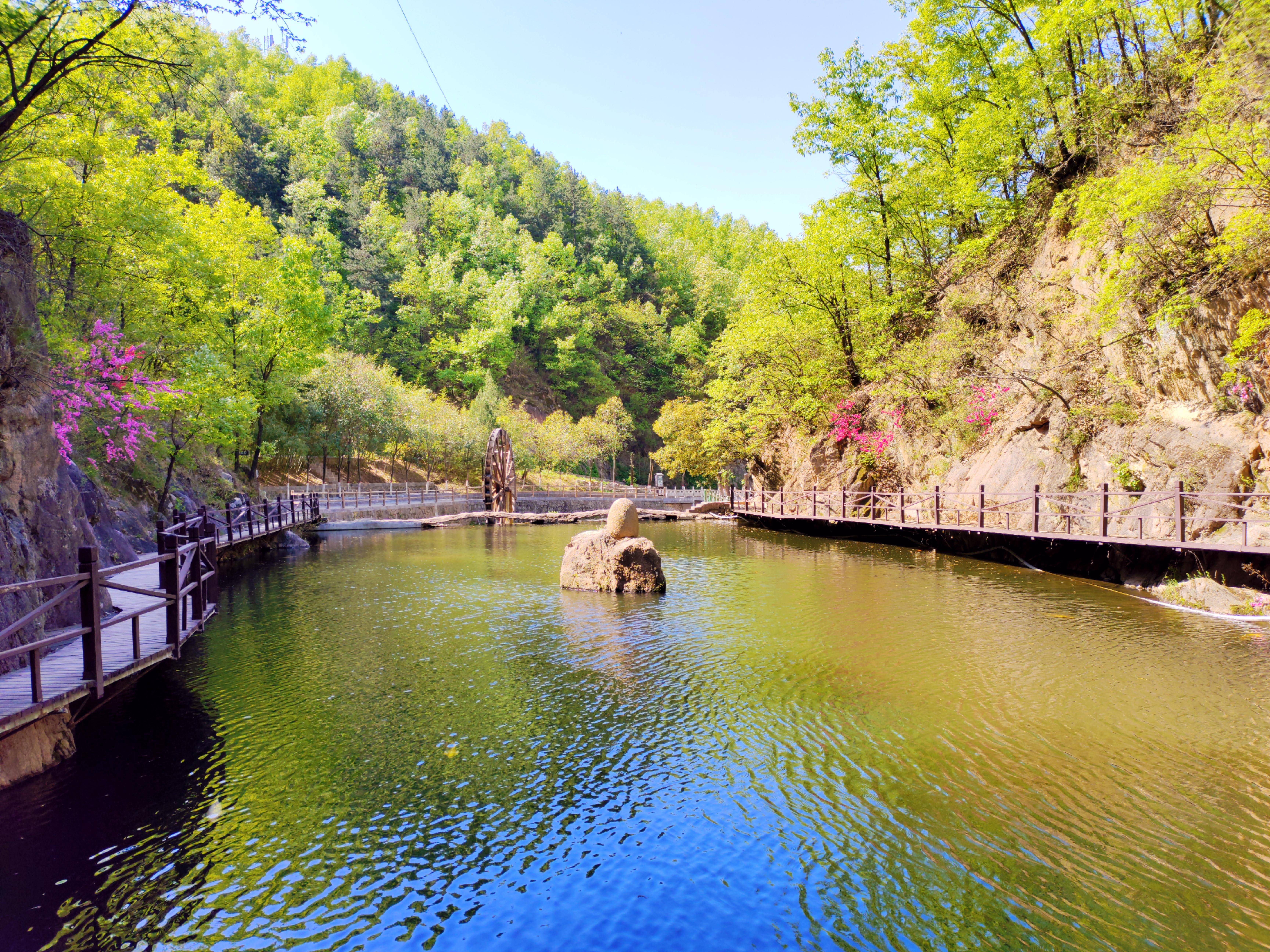 鲁山:名家齐聚 唱响画眉谷