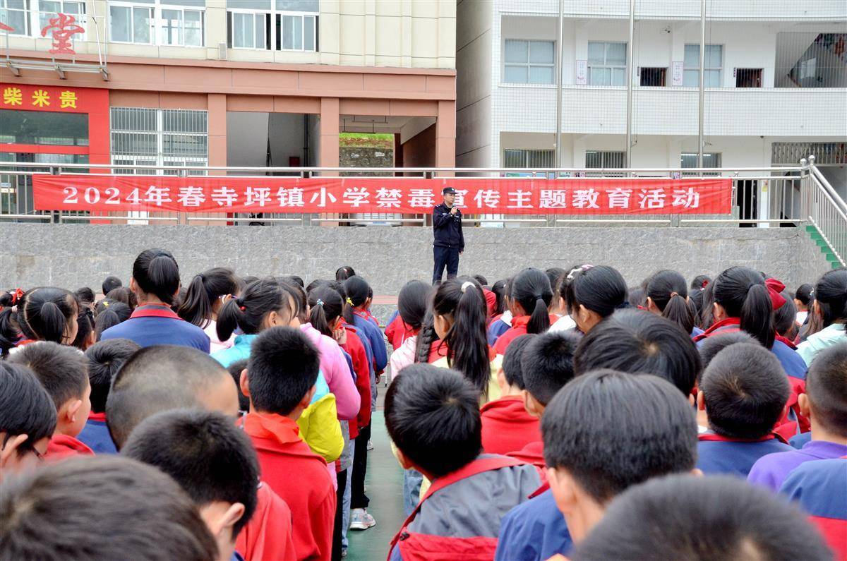 襄阳市保康县寺坪派出所开展禁毒宣传进校园活动