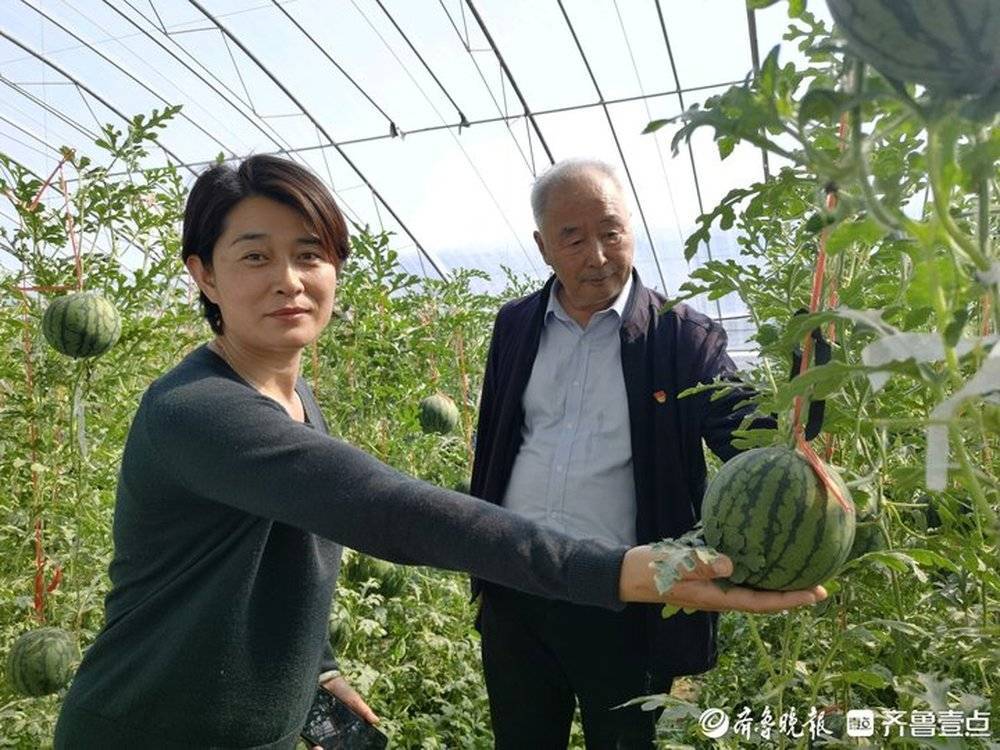 1520元斤济南仁风富硒西瓜陆续上市本周将大量上市