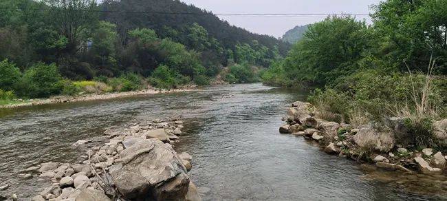 民间河长巡河山清水秀漳河水