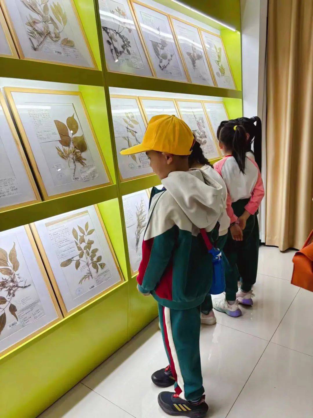 多媒体科普亲手制作标本在多媒体科普讲堂同学们认真地聆听了多彩