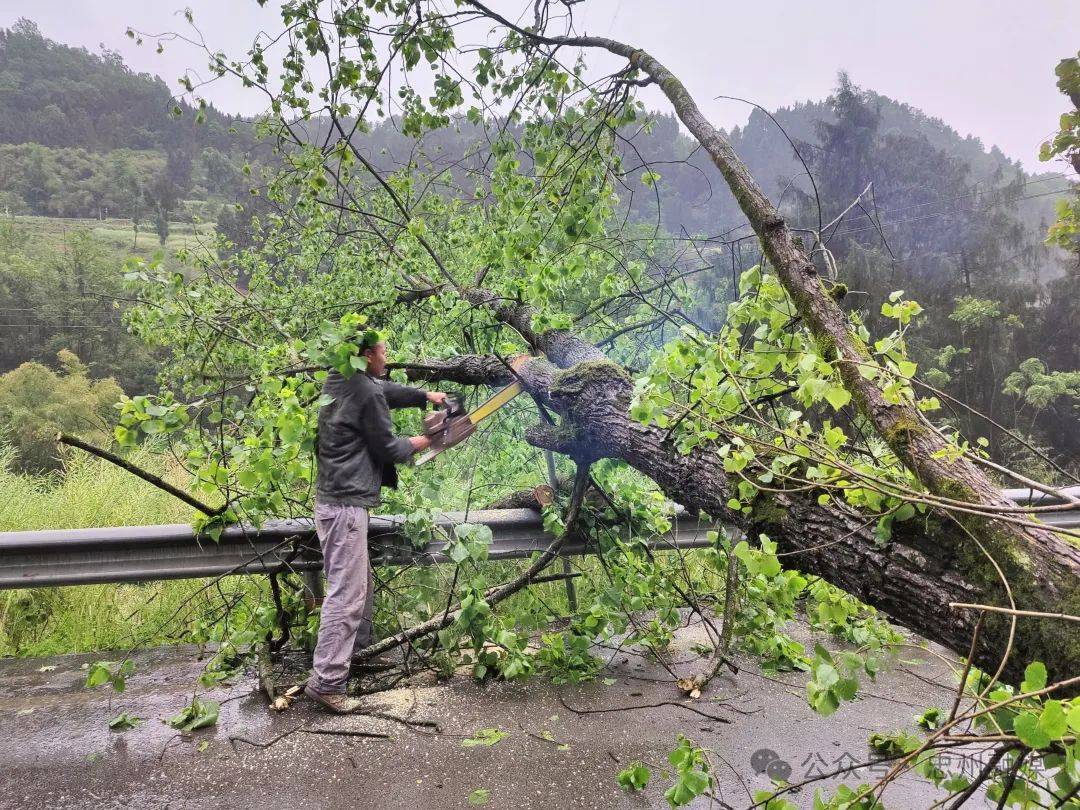忠县人 昨夜的你是否被吓到起?提醒你这些要牢记!_大风_天气_夜间