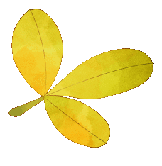 老街时光机丨银川鼓楼南街的百年繁华与市井趣闻_郑文著_柳树巷_历史