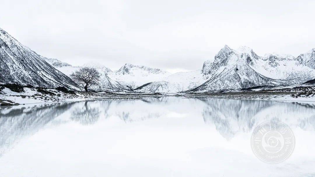 08 sonia de wit(比利时)▲ 08 foteini zaglara(希腊)▲ 08