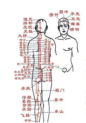 足太阳膀胱经腧穴名称由来