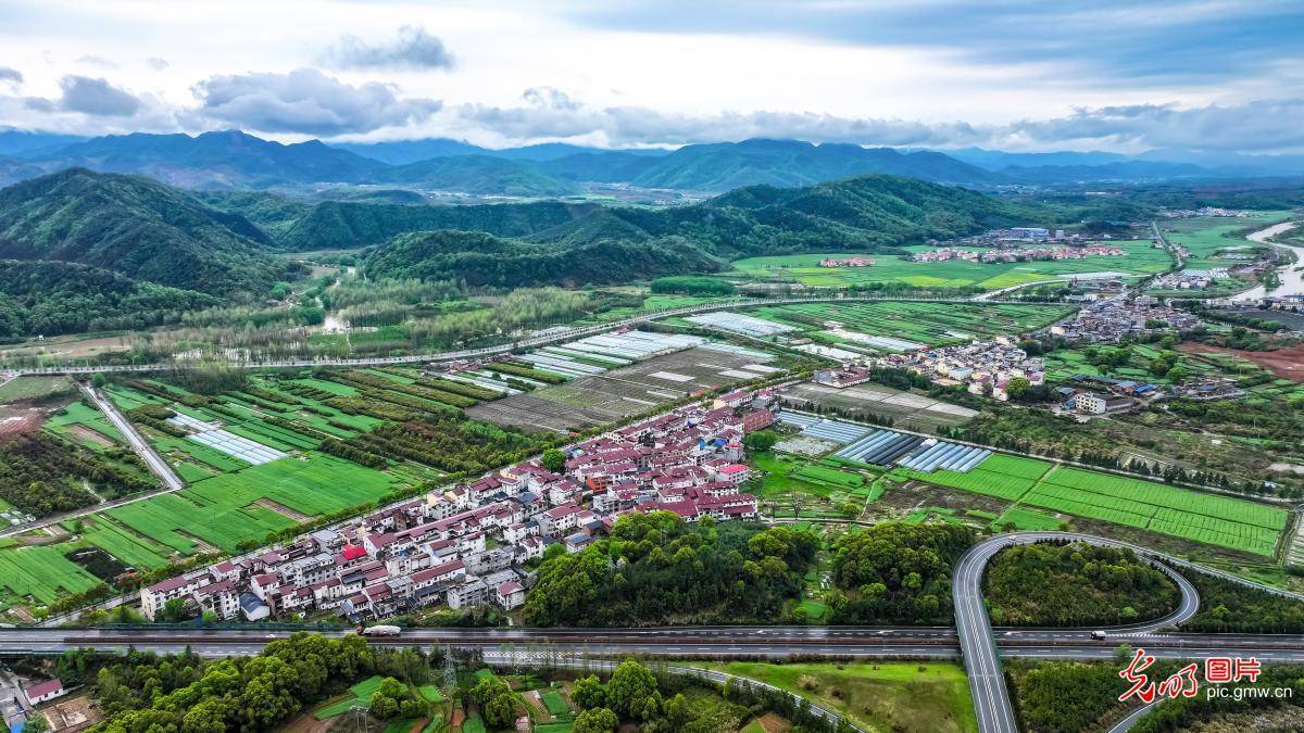 2024年4月5日,鸟瞰下的江苏省宿迁市沭阳县桑墟镇二兴村大地锦绣,乡村