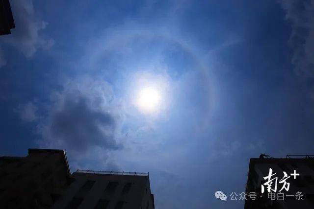 霸屏朋友圈绝美日晕闪现茂名天空你拍到了吗