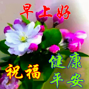 今日最新早上好动态表情图片大全不用打字就可以聊天的图片