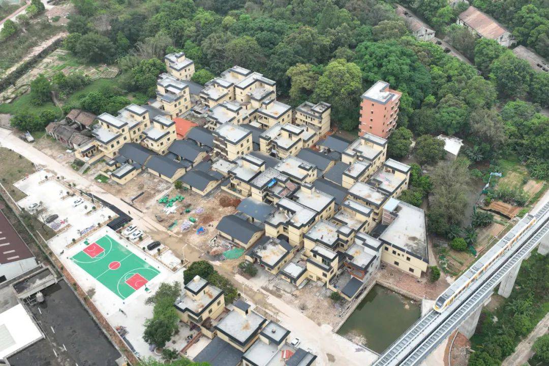 聚焦百千万工程龙塘银盏五大行动绘新篇和美乡村绽新颜