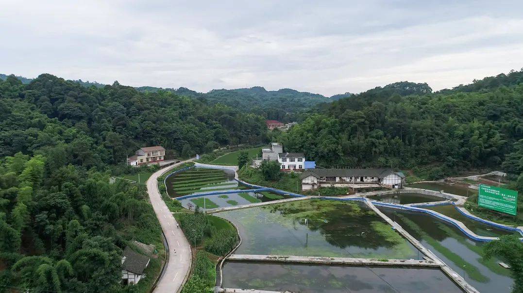 四好农村路十周年江安县深入探索建管养运打造县乡村三级物流体系