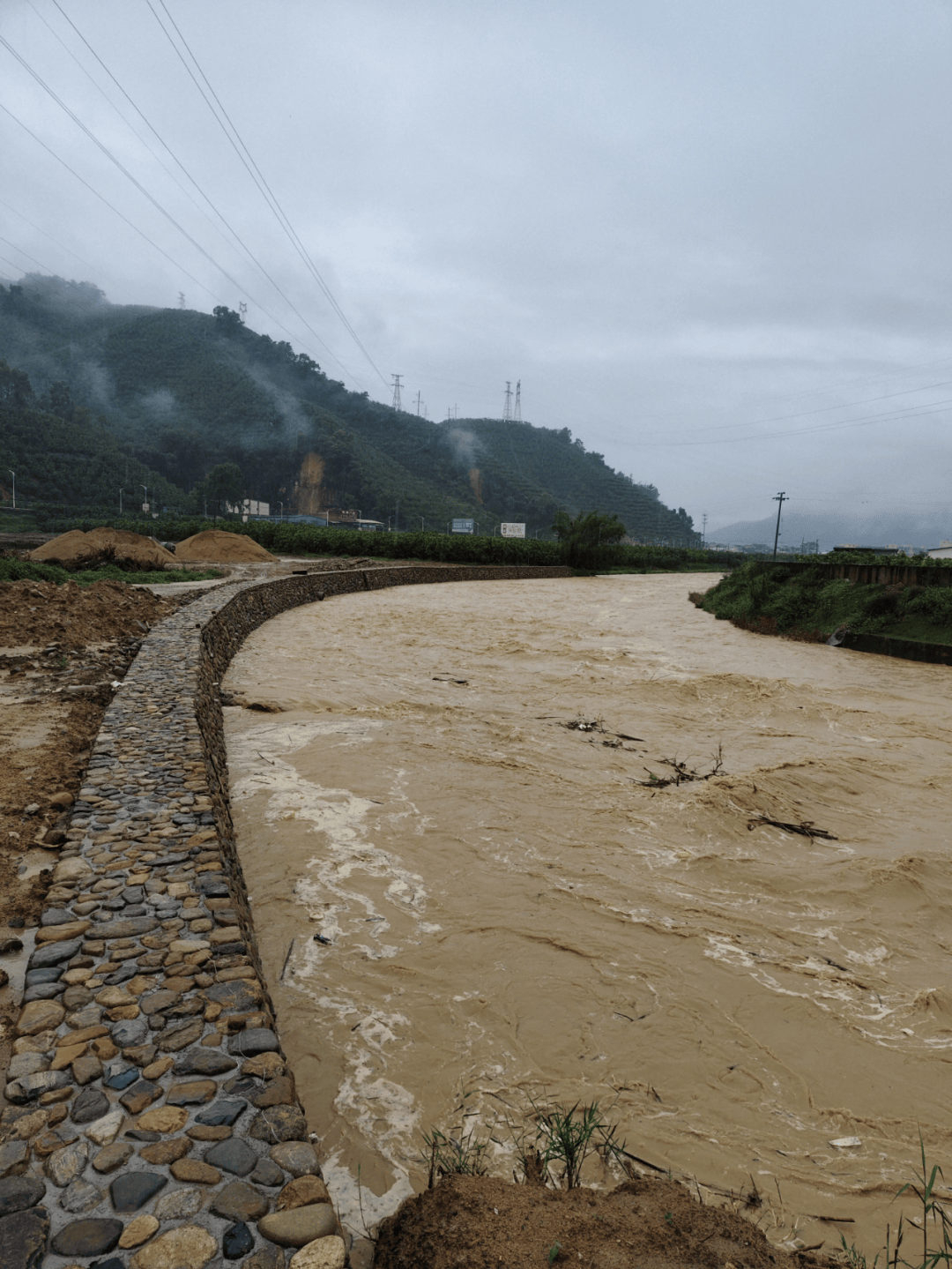 生态环境保护小溪镇持续推进枫埔溪安全生态水系项目建设