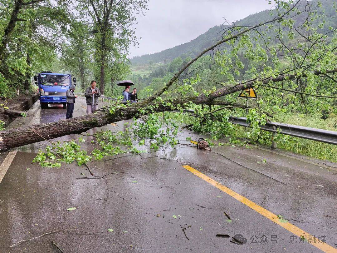 忠县人 昨夜的你是否被吓到起?提醒你这些要牢记!_大风_天气_夜间