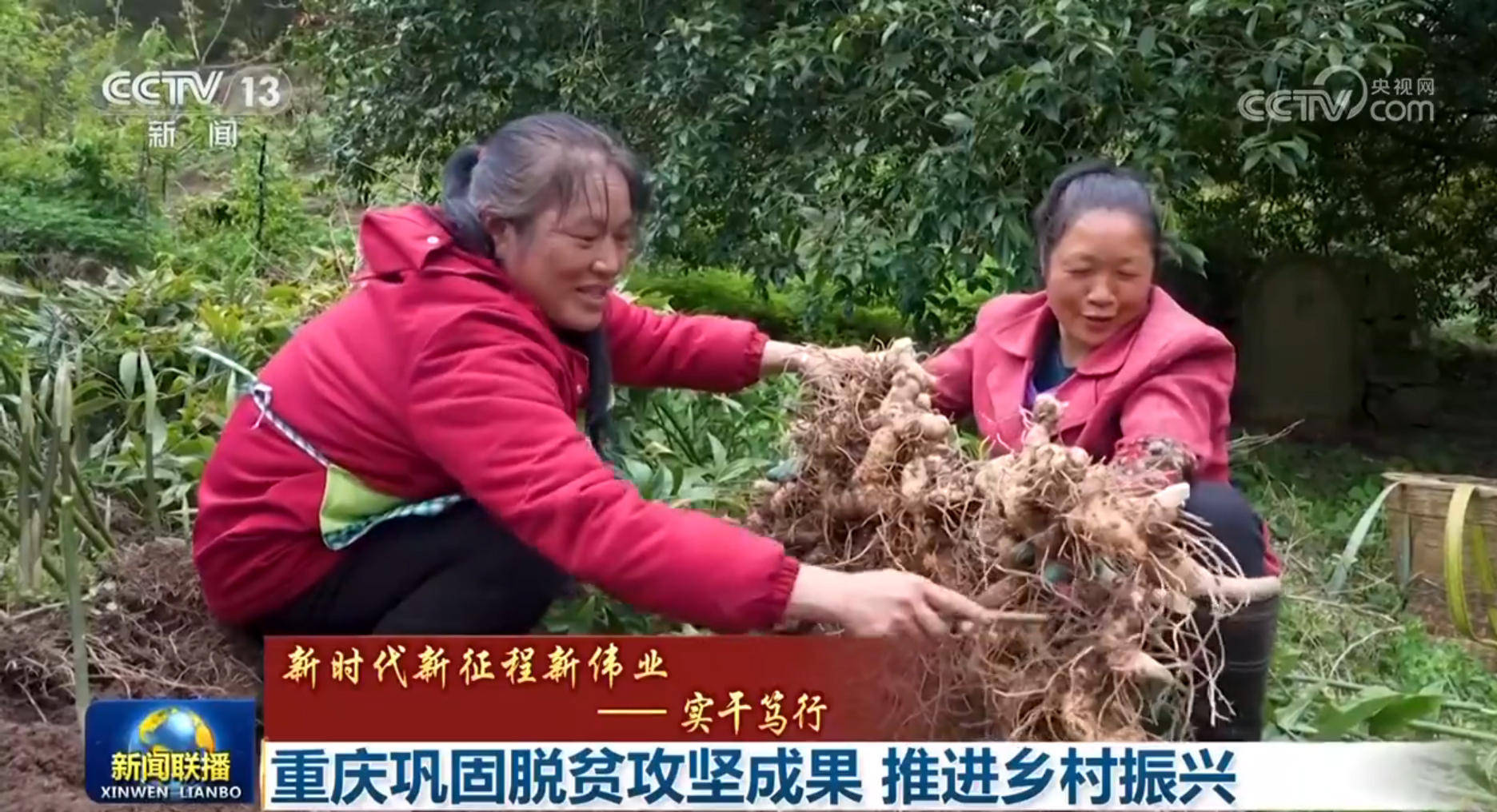 脱贫攻坚与乡村振兴图片