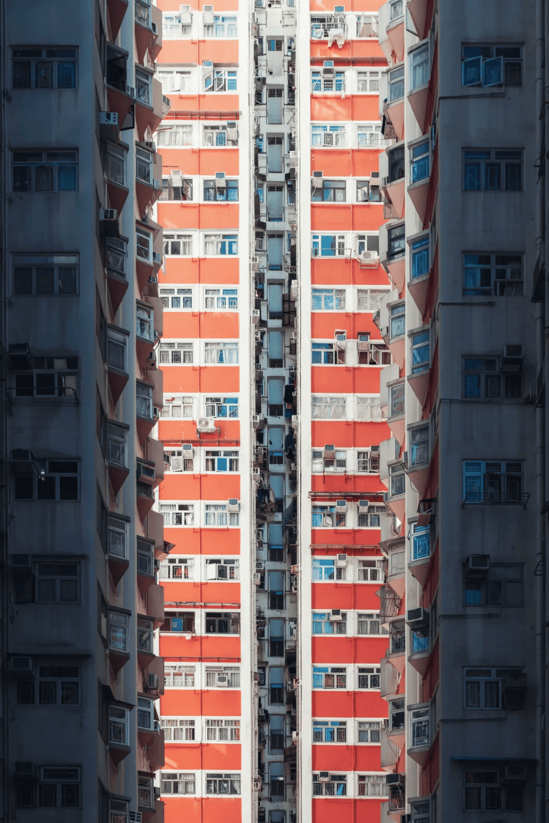 笔记| 用z 8像素变化拍摄,打开港澳新视界_mm_香港_尼康