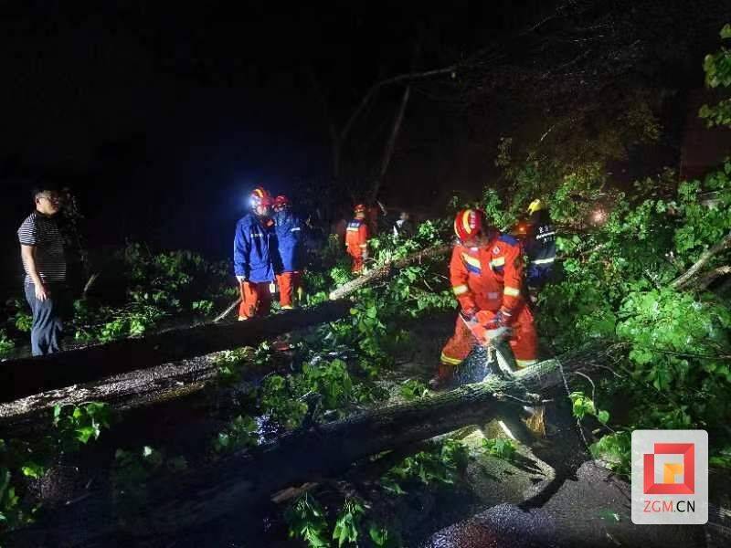 "雷雨 大风"致多处道路受阻 自贡消防迅速出动为民解忧_代寺镇_救援