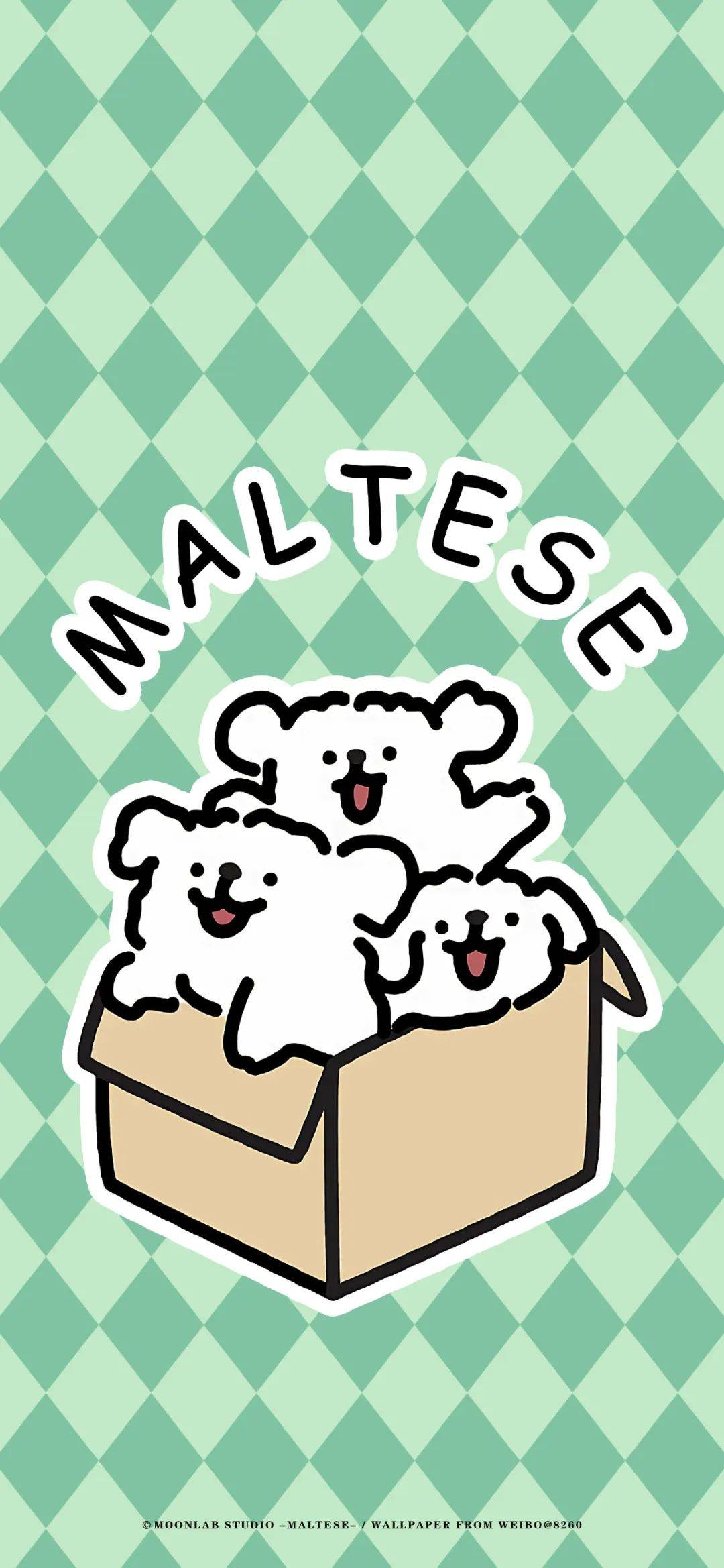 壁纸ios15高质感壁纸