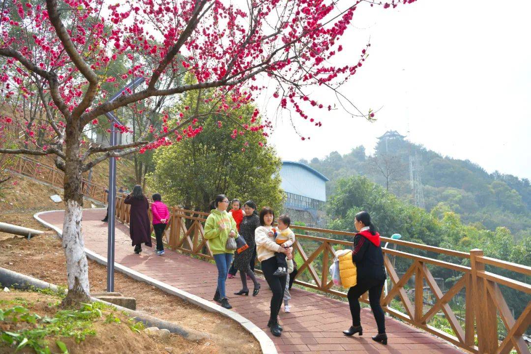 延平:持续推进老旧小区改造,让幸福原地升级_社区_公园_居民