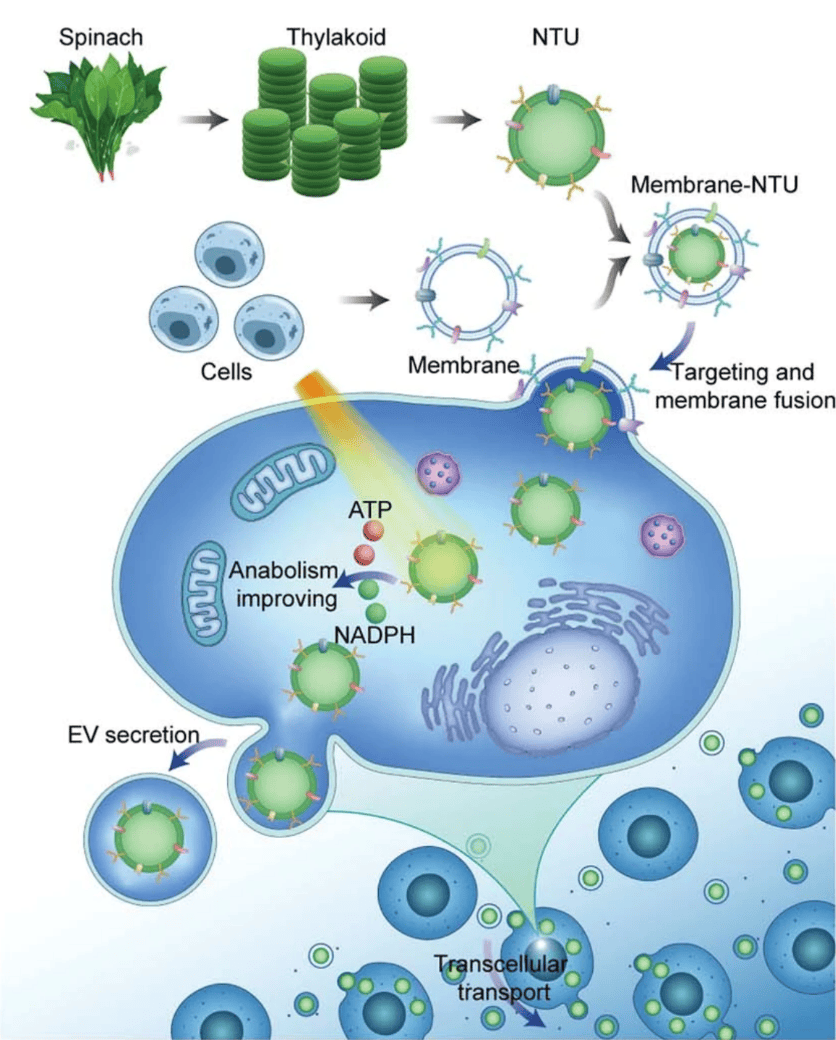 十佳访谈顾辰辉走过的路每一步都作数
