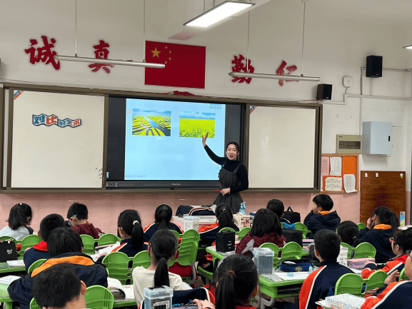 教学视导重知行学科研修助成长记金陵小学迎区教师发展中心教学视导