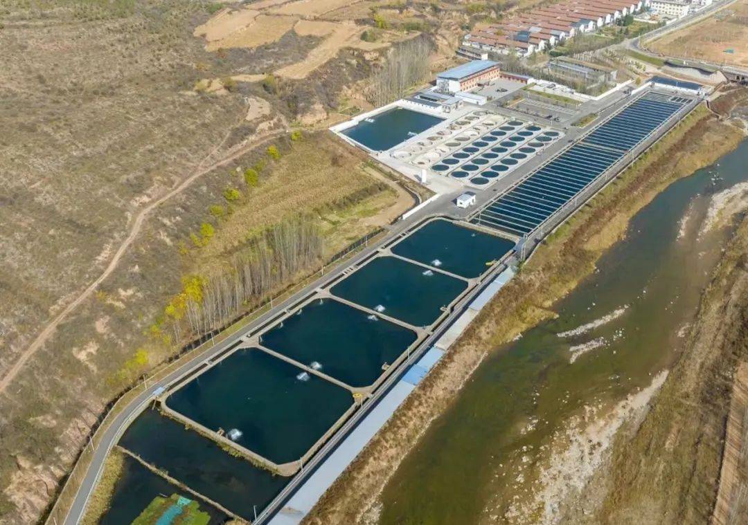 山西也能养殖三文鱼白对虾