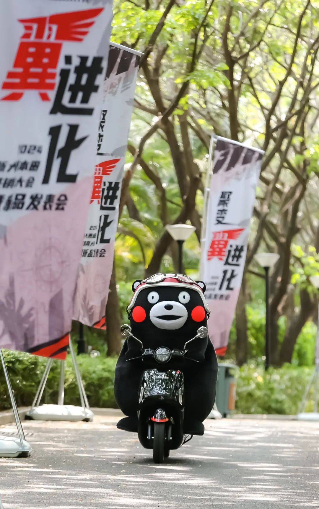 搜狐汽车_搜狐网
