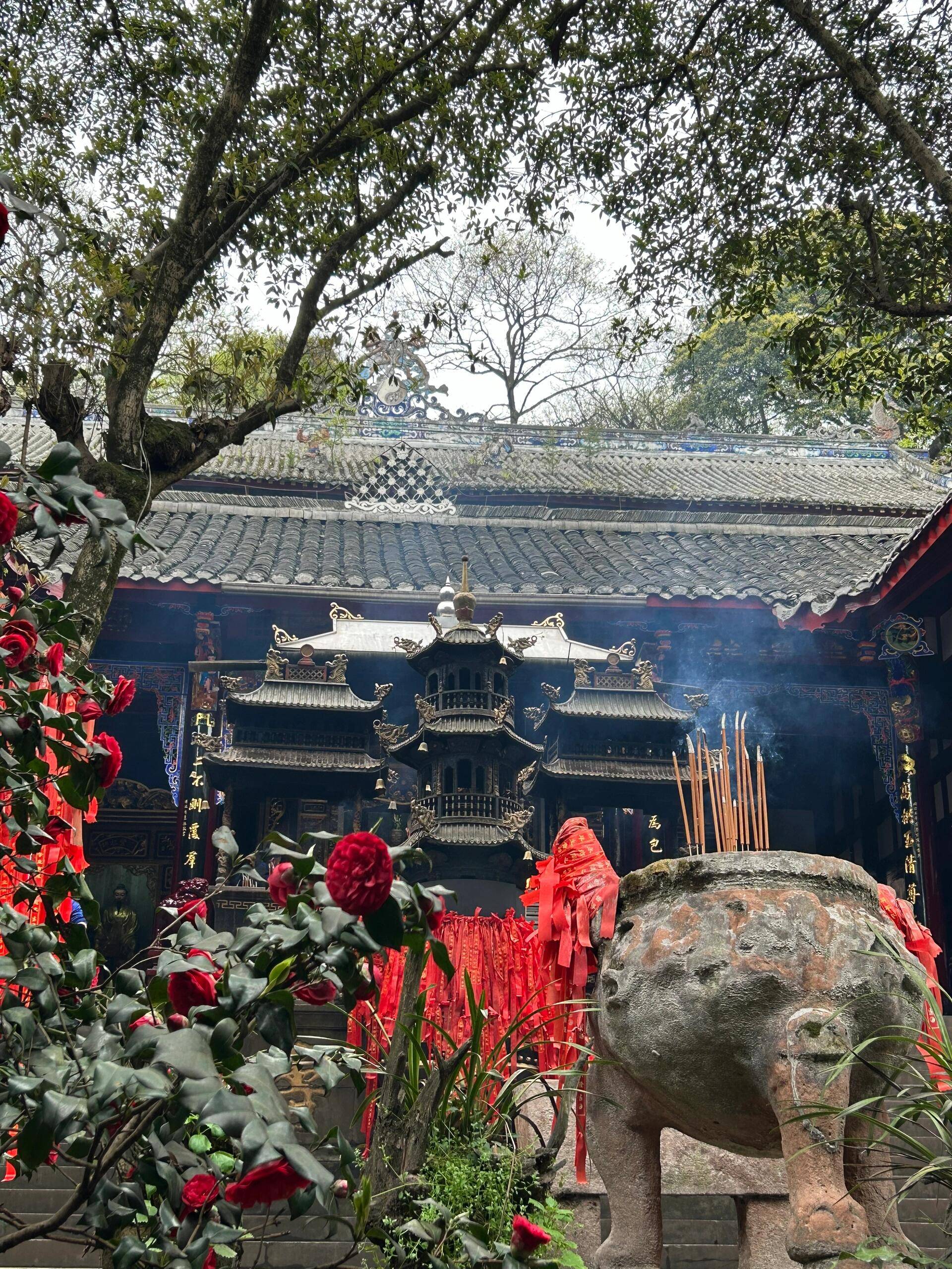 成都旅游学院在四川招生吗这个攻略快收藏