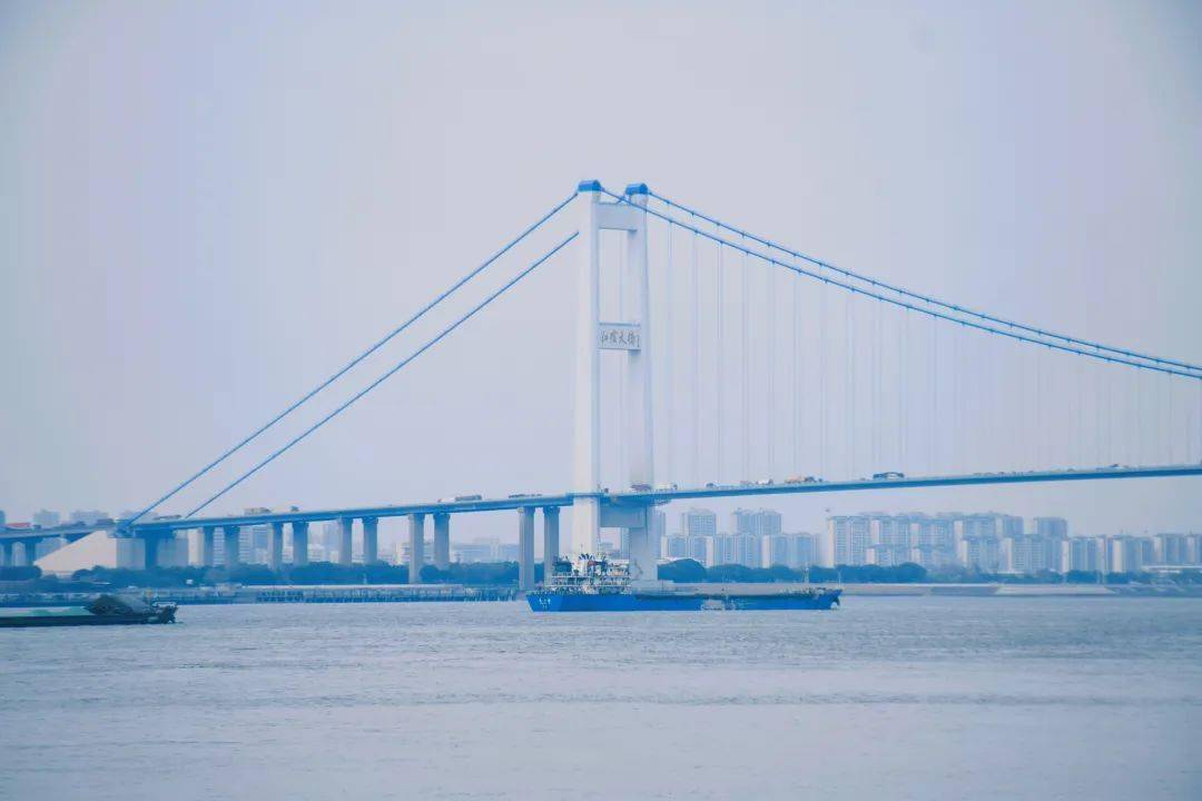 这座又鲜又chill的土豪小县城满足了我春天所有的口腹之欲