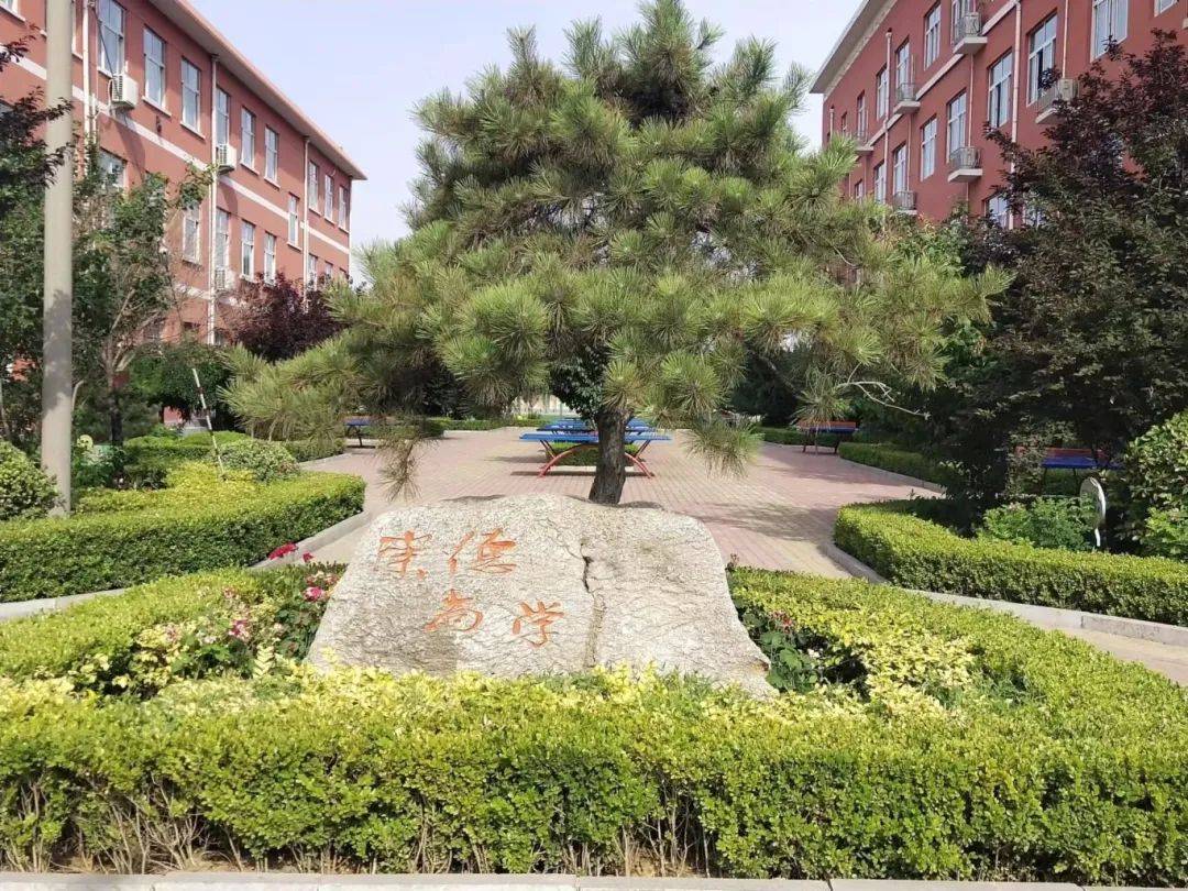 摄影:平阴县安城小学主题:春日笑靥▲摄影:平阴县实验小学主题:恰同学