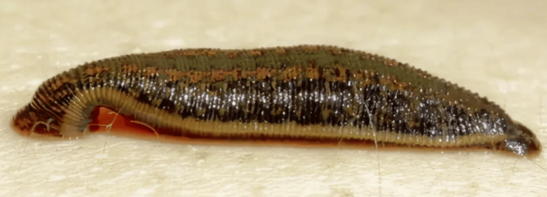 中疾控接连提醒接触10秒即可感染近期高发