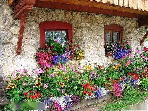 开满鲜花的小院陶醉了