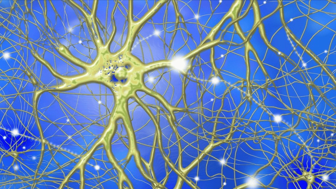 研究:化妆品,家具,消毒剂中的这2种物质,或在伤害大脑,是真的吗_神经