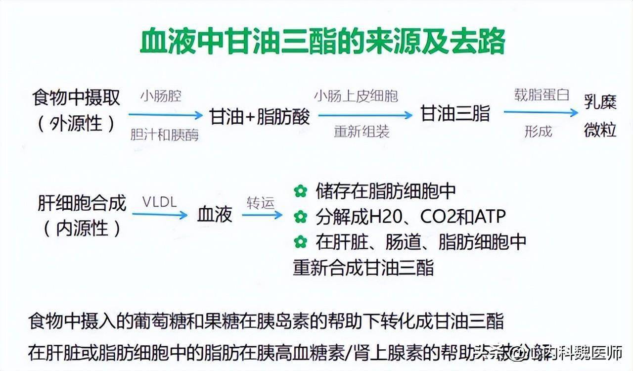 甘油三酯大户被揪出提醒55岁后这3类食物尽早忌口