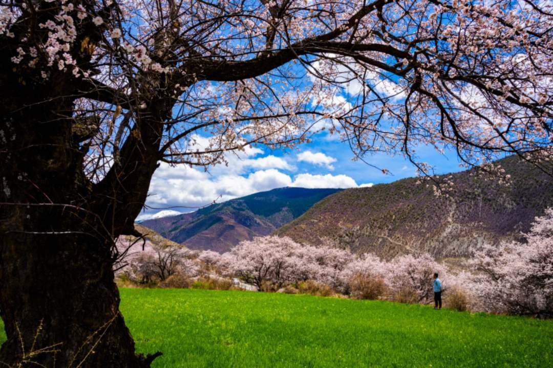 为加快打造国道349精品旅游线路,提升洛隆县文化旅游知名度,美誉度,4