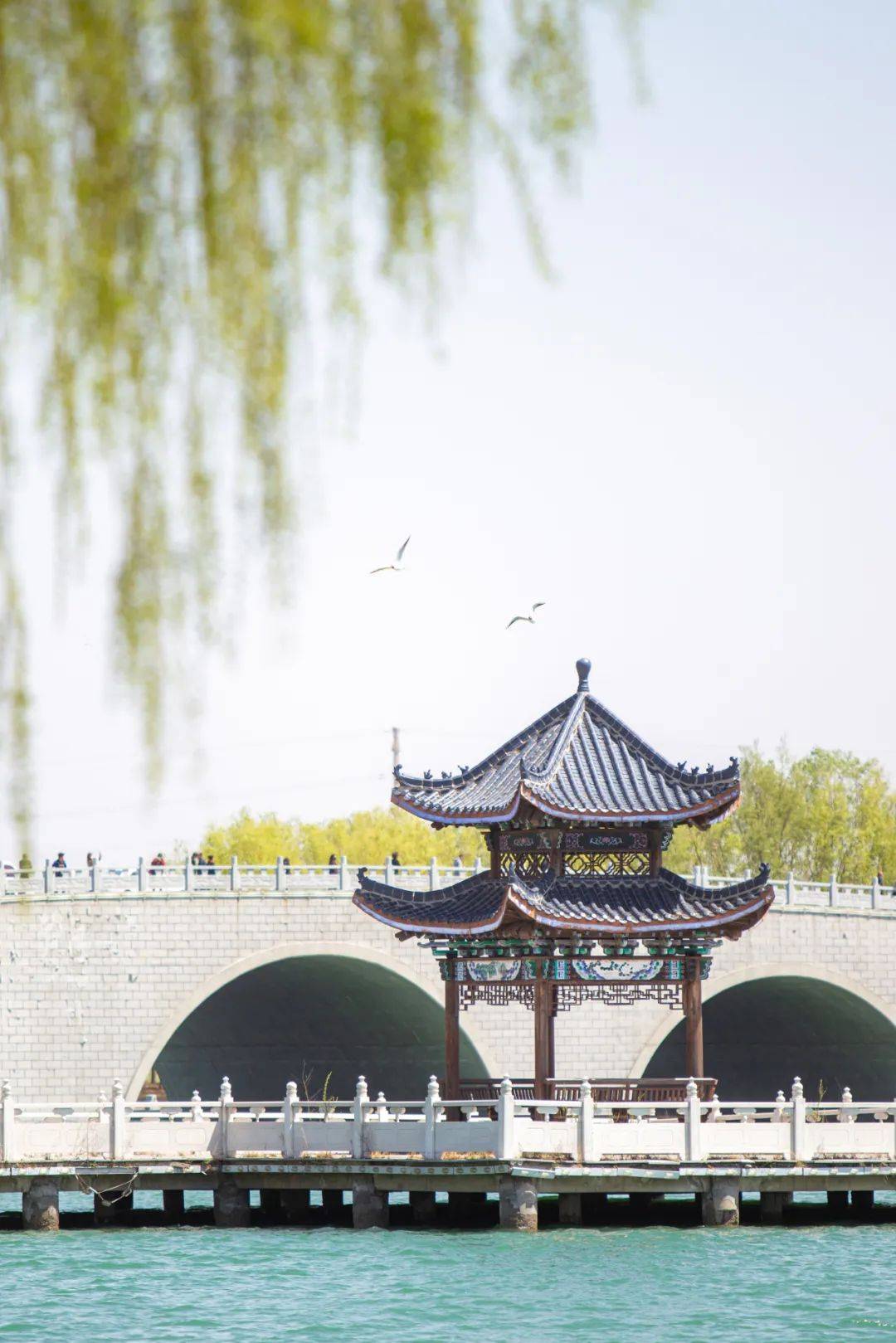 约你来鲅鱼圈赏春_旅游_风景区_万隆