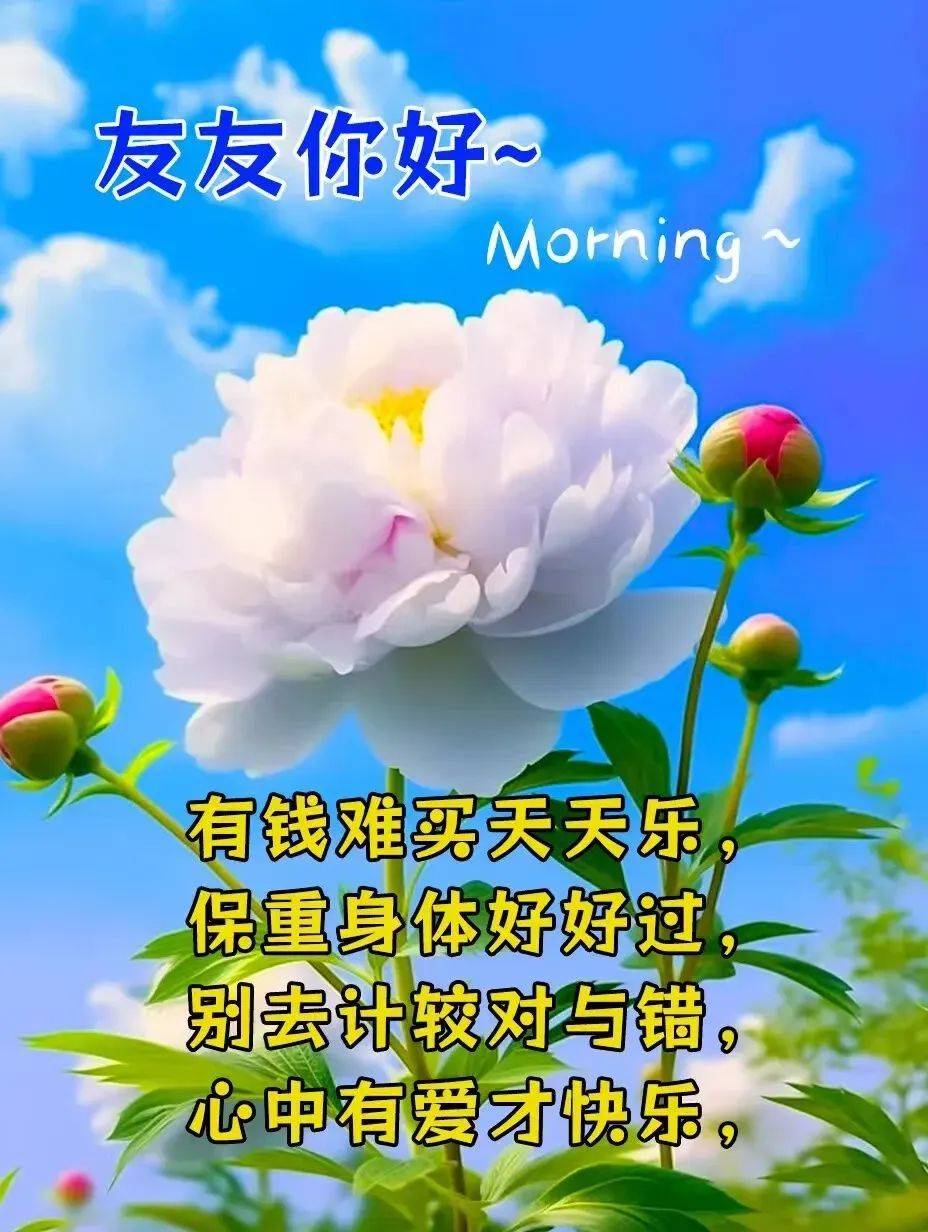 2024年4月20日周末愉快!最温暖的"早安问候语"最精美的"早安祝福