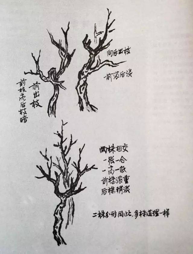 画法_叶树_树叶