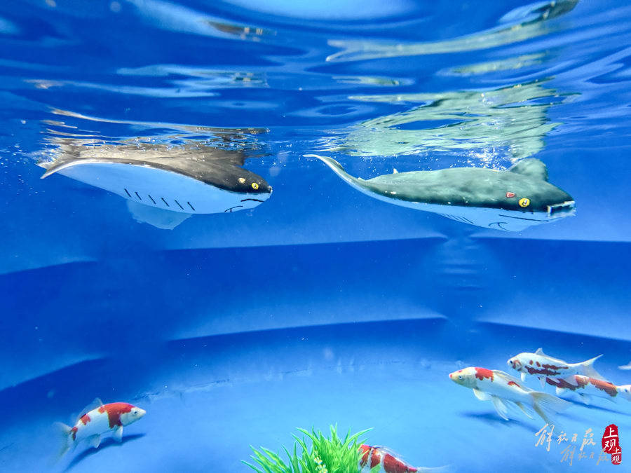 海中隐形无人机来了,智能软体仿生鱼搭载"华为芯"入水,长得像摸得像游