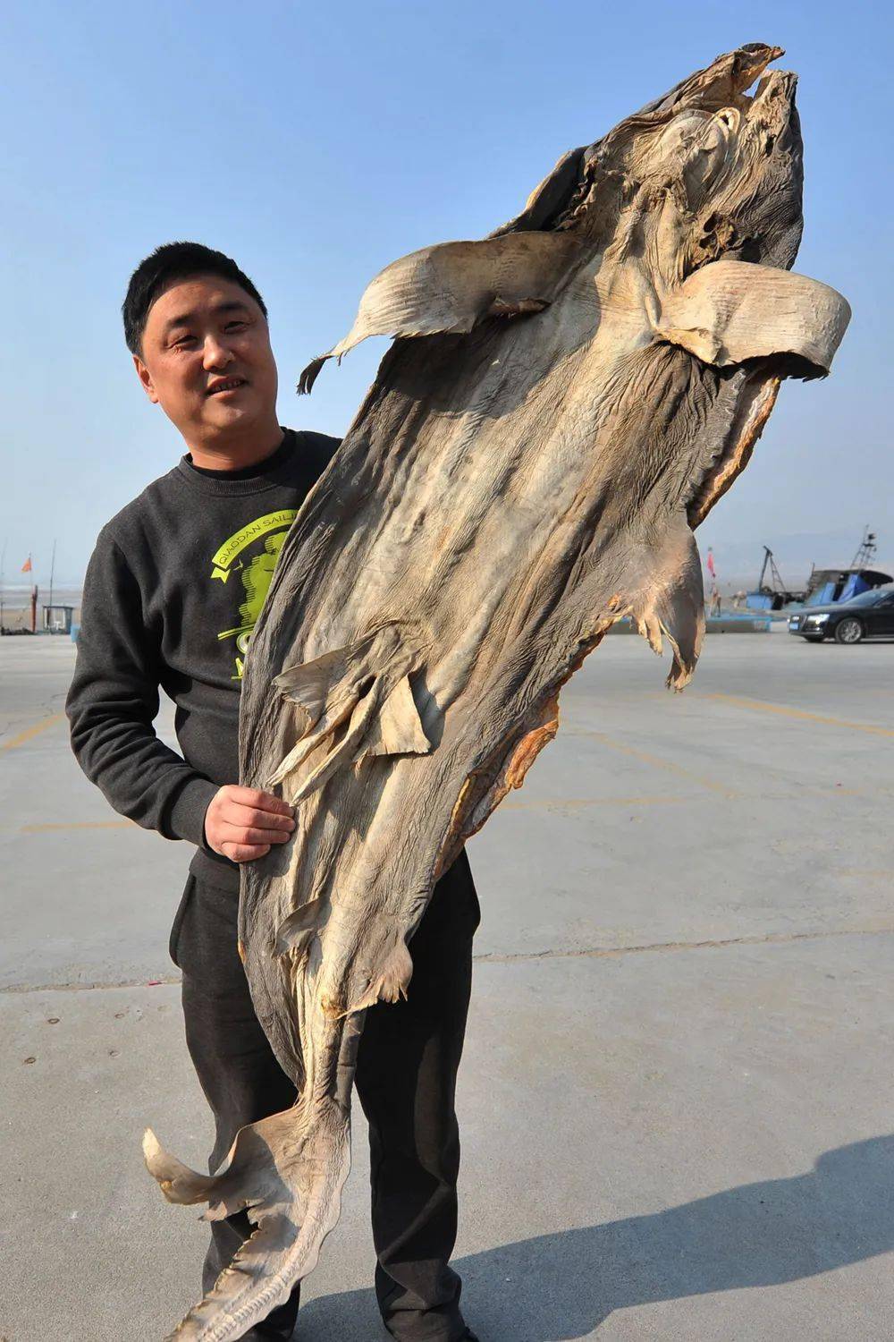 咸鱼们有多努力,你知道吗?