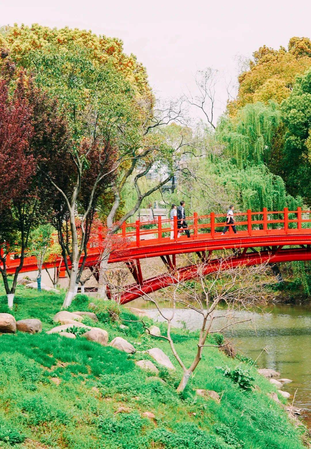 鱼嘴湿地公园门票 | 免费开阔的草坪,澄澈的蓝天远处江景辽阔焕然一新