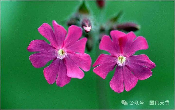 路走来,实在不易,如今退休了,都愿有一个健康的身体,有一个幸福的晚年