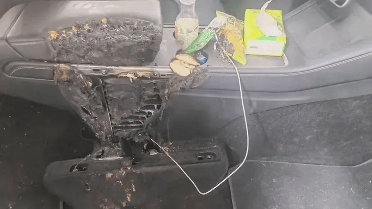 白城人 快拔掉这根线!你家车可能因它自燃