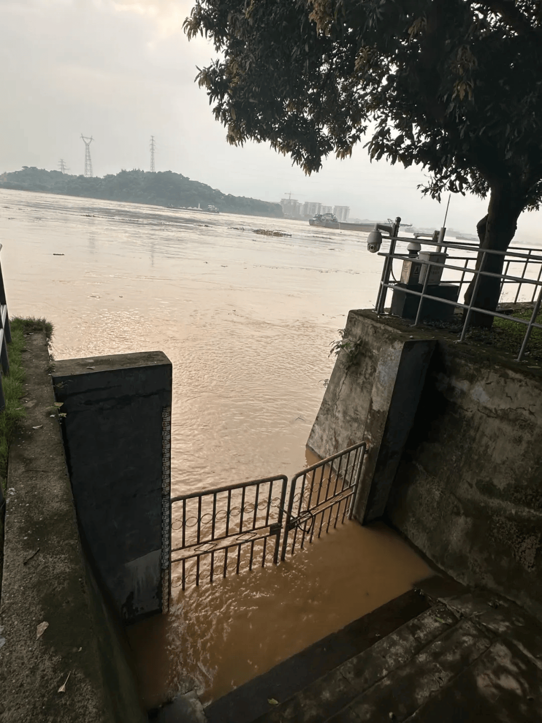沙头北江湿地公园已关闭!洪峰今晚将过境佛山
