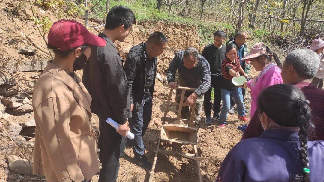 黄龙县白马滩镇:做好林下经济"大文章" 助力乡村振兴"有良方"——河