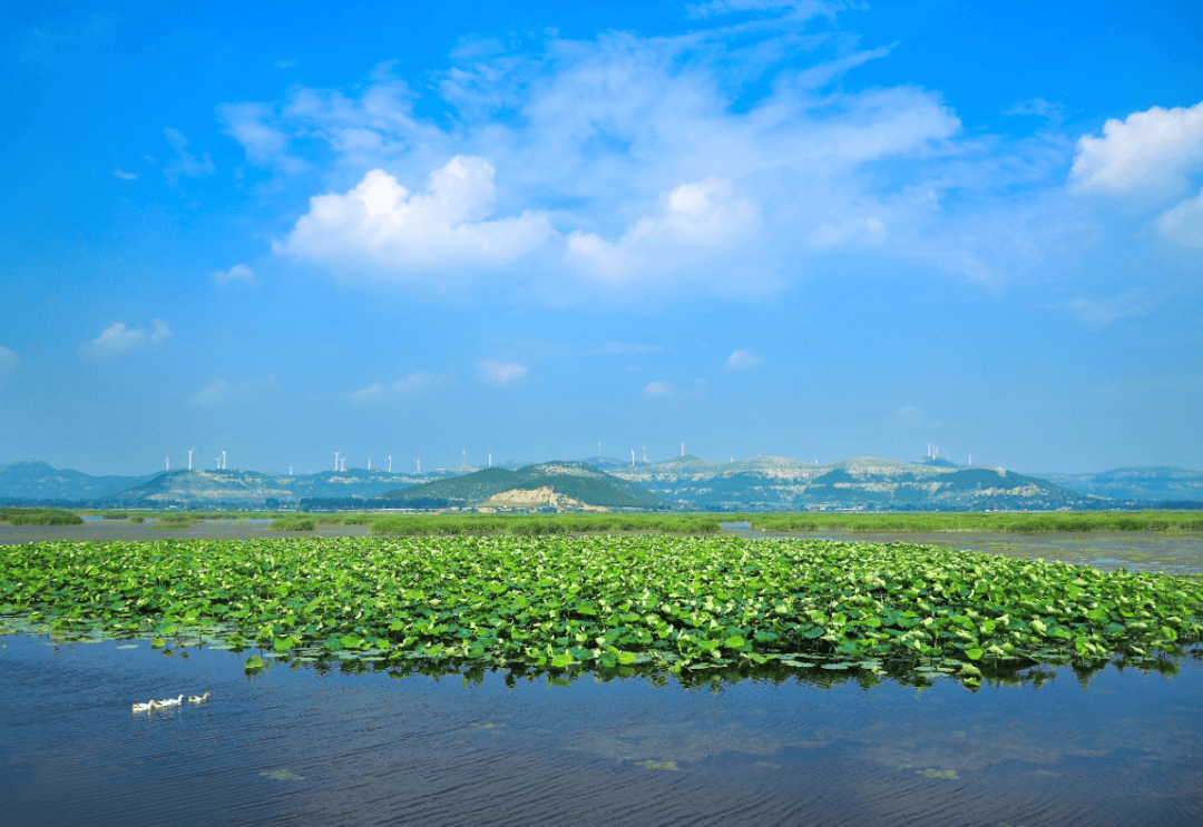 侯翠荣:协同推进降碳减污扩绿增长 奋力谱写美丽山东建设新篇章