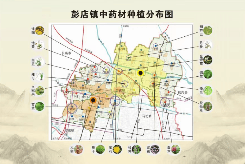 鄢陵县彭店镇:药材地里发"药财"